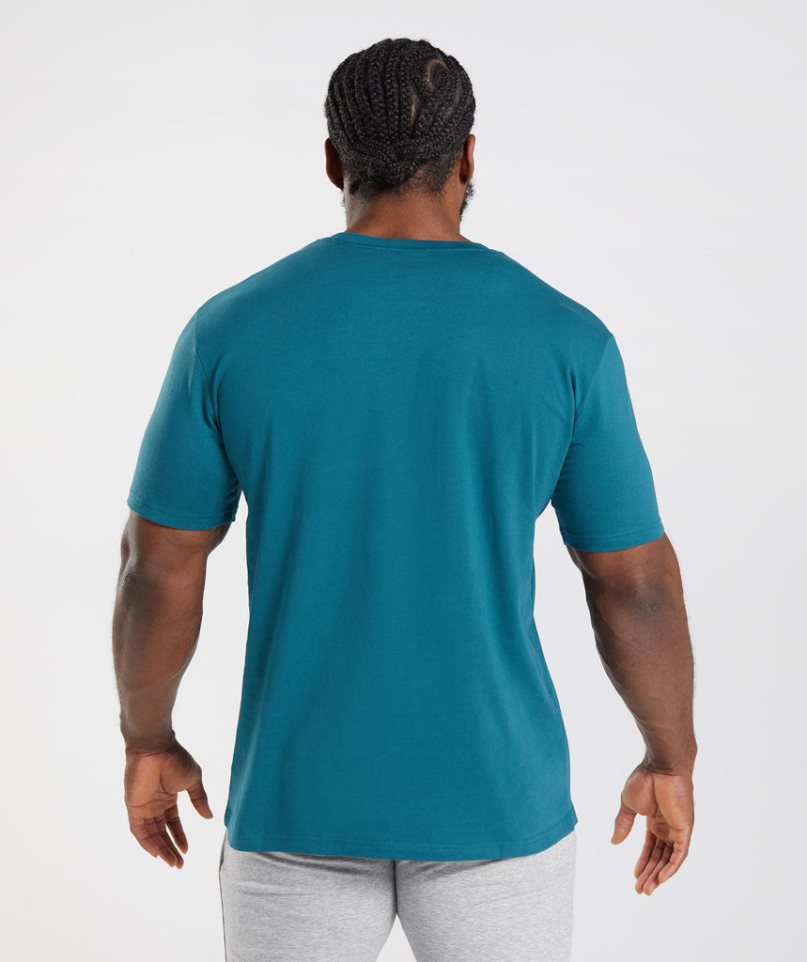 Men's Gymshark Crest T-Shirts Turquoise | CA 5D3N67